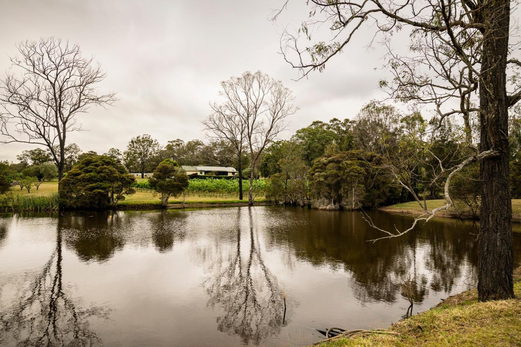 Hotel Mccaffrey'S Estate Pokolbin Exterior foto